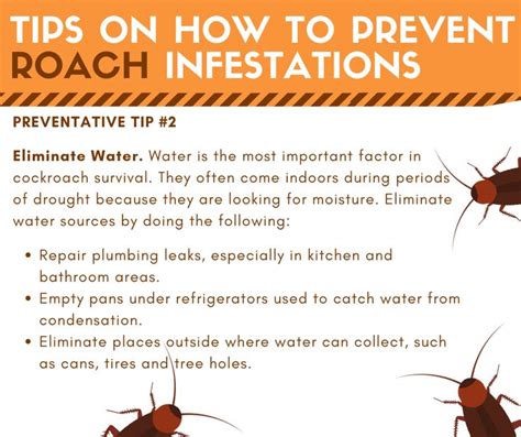 Tips on Preventing Roach Infestations | Household pests, Roaches, Diy bug spray