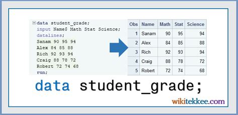 Create SAS Data Set with Raw Data Manually (3 easy examples) - wikitekkee