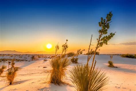 White Sands Sunset New Mexico | Posters, Art Prints, Wall Murals | +250 ...