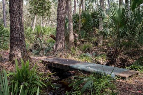 7 Tips for Hiking Wekiva Springs Orange Trail | Next Stop Adventures