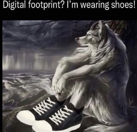 Digital footprint? I'm wearing shoes! | Sitting Wolf | Know Your Meme