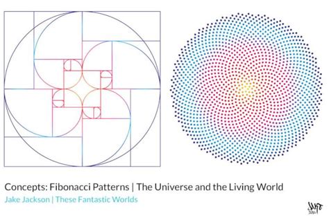 Concepts | Fibonacci Patterns