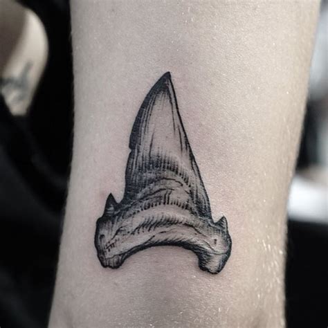 Jimmy Butcher on Instagram: “A shark tooth I did in Tampa this weekend at # ...