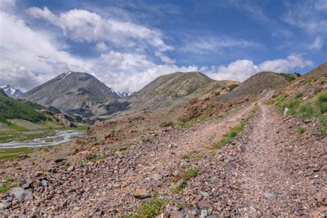 Best Altai Nature Reserve Stock Photos, Pictures & Royalty-Free Images - iStock