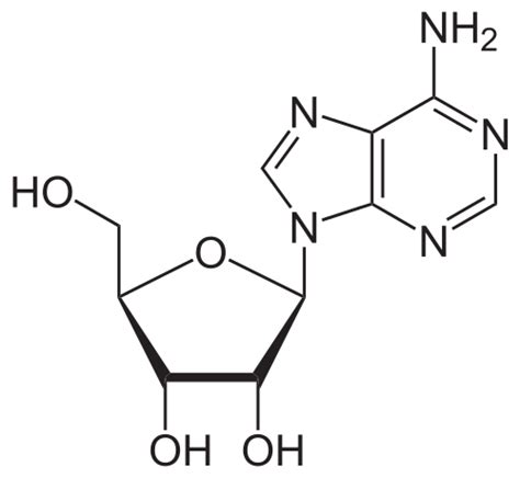 Adenosine - wikidoc