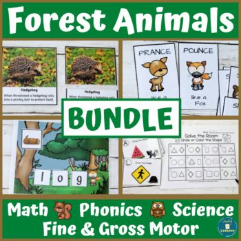 Forest Animals Activities BUNDLE - Math, Phonics, Science, Fine/Gross Motor