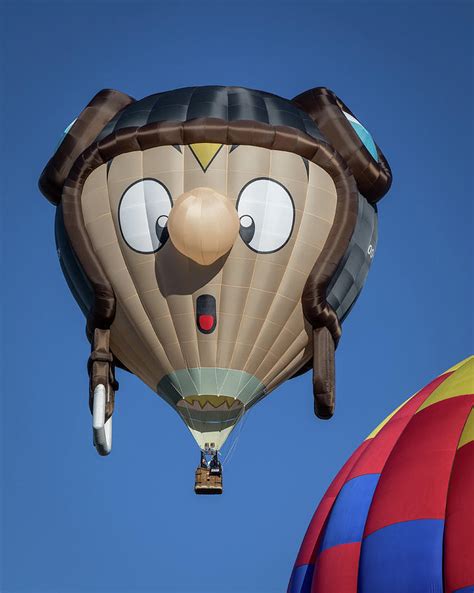 Funny Air Balloon Photograph by Joe Myeress - Pixels