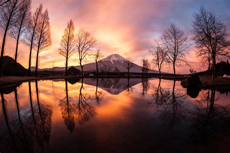 nature, landscape, trees, forest, branch, Mount Fuji, Japan, lake, sunset, house, snowy peak ...