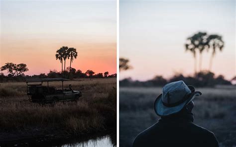 Wildlife Photography Tips: How My First Safari Taught Me the Virtues of Patience as a Photographer