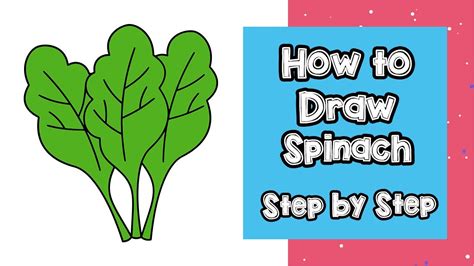 Spinach Drawing Easy | How To Draw Spinach | Spinach Drawing by Nifty Toy Art - YouTube