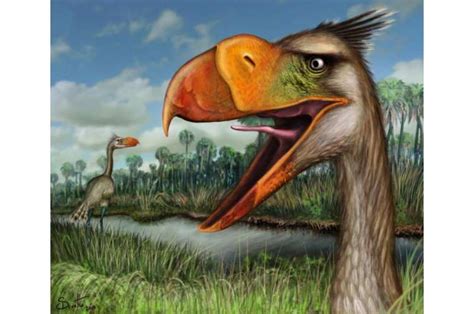 Exceptionally preserved fossil gives voice to ancient terror bird