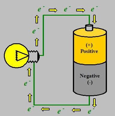 The Resting Membrane Potential