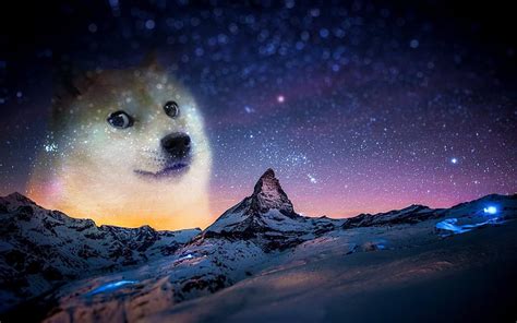 7 Doge Space, dog meme HD wallpaper | Pxfuel