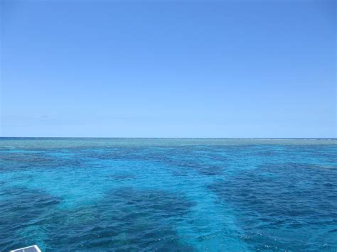 Cairns-Great Barrier Reef | Mark Cujak's Blog