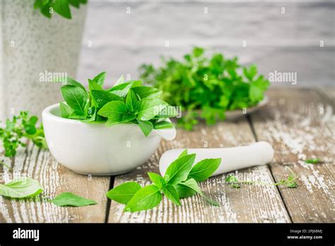 Asian parsley hi-res stock photography and images - Alamy