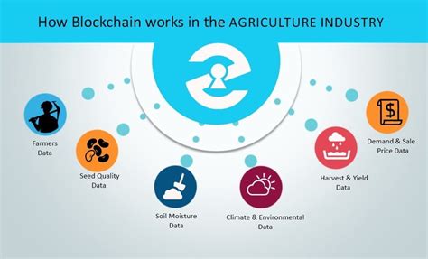 How Blockchain Technology Can Transform The Agriculture Industry ...