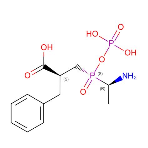 RCSB PDB - 3VMM: Crystal structure of BacD, an L-amino acid dipeptide ligase from Bacillus subtilis