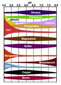 How many plant micronutrients are there?