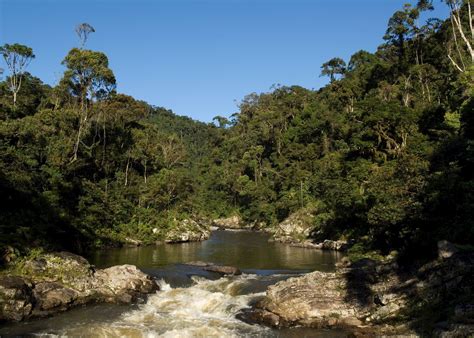 Ranomafana National Park, Madagascar | Audley Travel