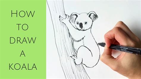 Koala Drawing