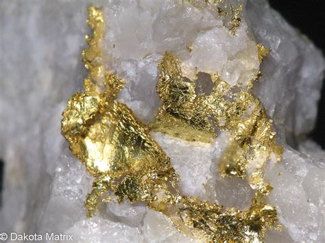 Gold Mineral Specimen For Sale