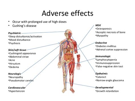 Effect of Steroid in human ~ akufisio.blogspot