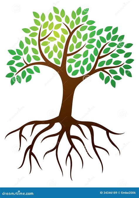 Tree Roots Logo Cartoon Vector | CartoonDealer.com #34346189