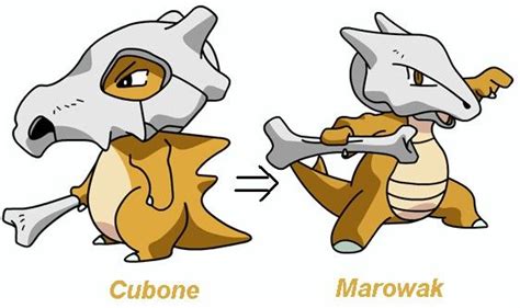 Cubone Evolution | Pokemon, Evolução, Aleatória