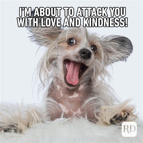 20 Kindness Memes That Spread Cheer — Funny Memes About Kindness