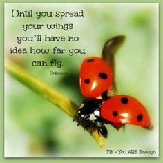 18+ Quotes With Ladybugs - CressidaSion