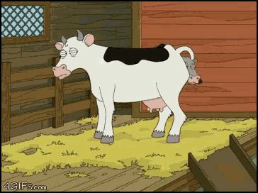 Cow Calf GIF - Cow Calf Baby - Discover & Share GIFs