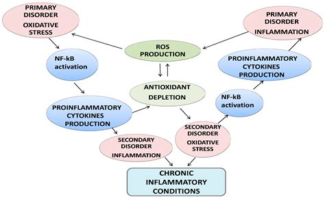 Nutrients | Free Full-Text | Omega-3 Polyunsaturated Fatty Acids: Benefits and Endpoints in Sport