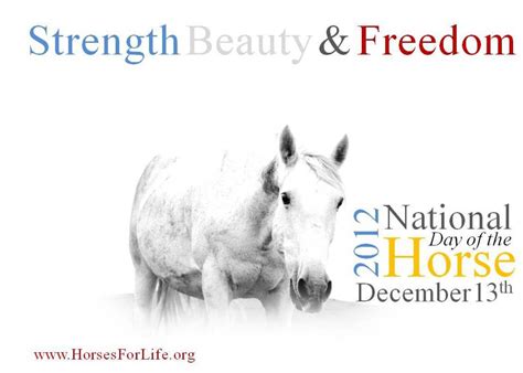 Horses For Life Foundation Blog