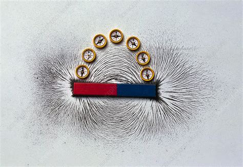 Iron filings around a magnet - Stock Image - C051/8418 - Science Photo ...