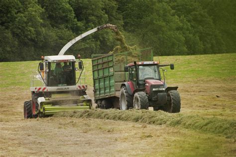 Is Wilting Grass Silage Really Important? - MED Partnership Group