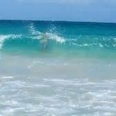 Flamenco Beach - 108 Photos - Beaches - Culebra, Puerto Rico - Reviews - Yelp