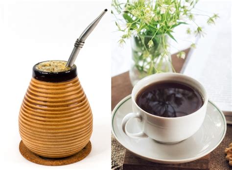 Yerba Mate vs Coffee: The Differences Explained (With Pictures ...