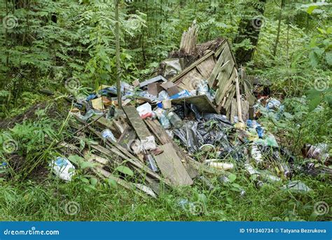 A Large Pile of Garbage, Waste in the Forest. the Nature of Forests is Polluted by Humans Stock ...