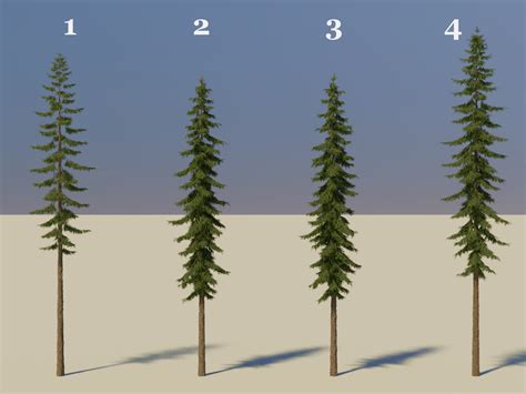 Realistic Pine Trees - Blender Market