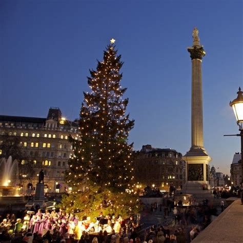 London's Trafalgar Square Christmas Tree Comes From Norway in 2018 ...