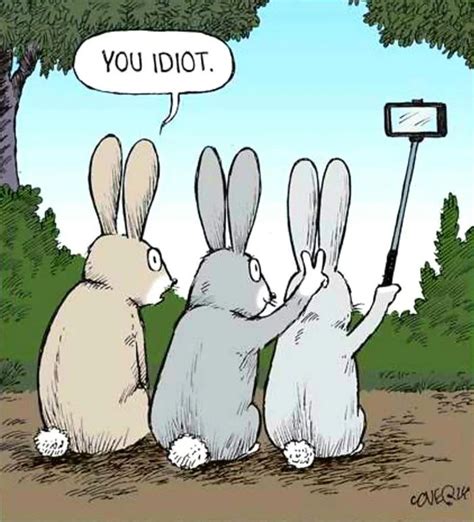 Bunny selfies. in 2021 | Funny cartoon pictures, Funny cartoons, Crazy funny memes