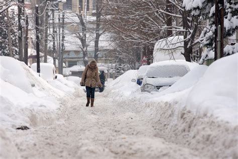 BUCHAREST ROMANIA - February 14: Weather Anomalies Editorial Stock Photo - Image of abnormally ...