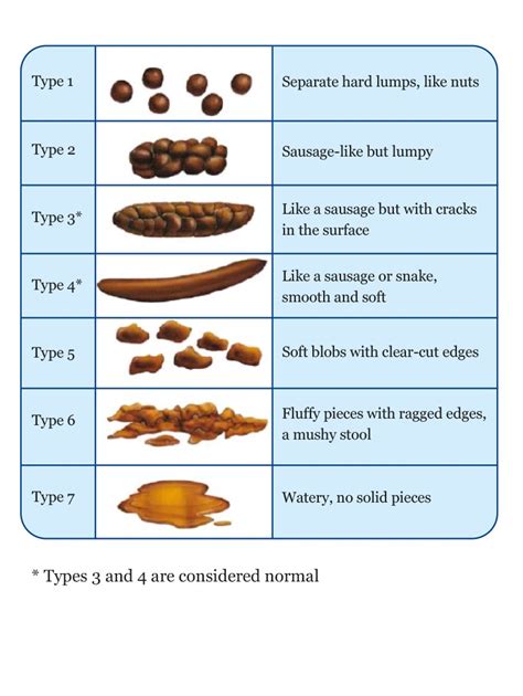 Bristol Stool Chart - Nursing Essentials | RCN Starting Out