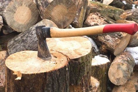 Best Felling Axes [in 2022] - Reviews & Buyer’s Guide