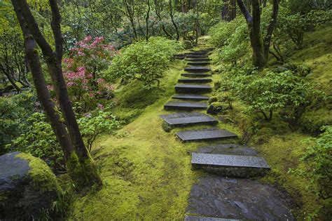 What's behind Japan's moss obsession?