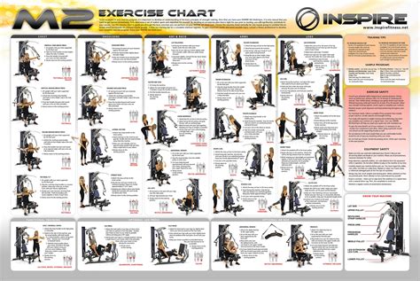 home gym machine exercise chart > OFF-50%