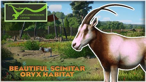 Scimitar Horned Oryx Habitat & Backstage! | City Conservation Center - YouTube