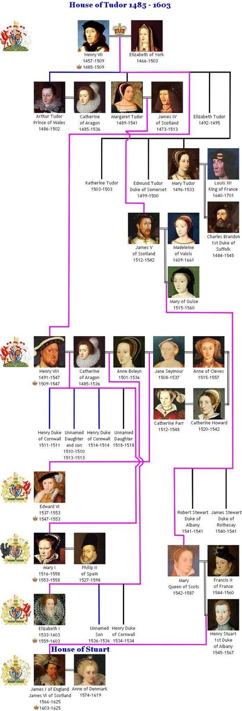 Royal House of Tudor | Tudor history, Henry viii family tree, British ...