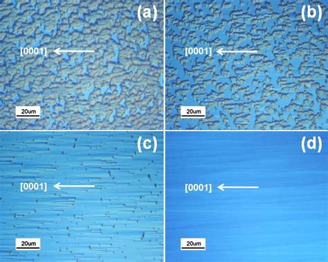 Color online Nomarski optical microscopy images of samples A-D, showing ...