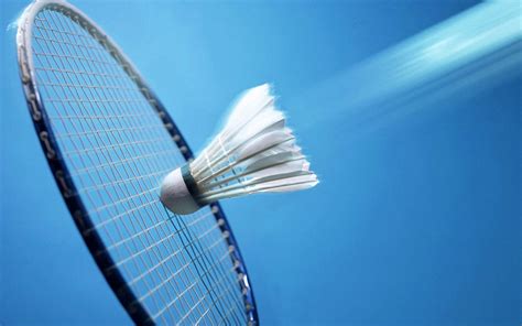 Badminton shuttle en racket - Achtergronden